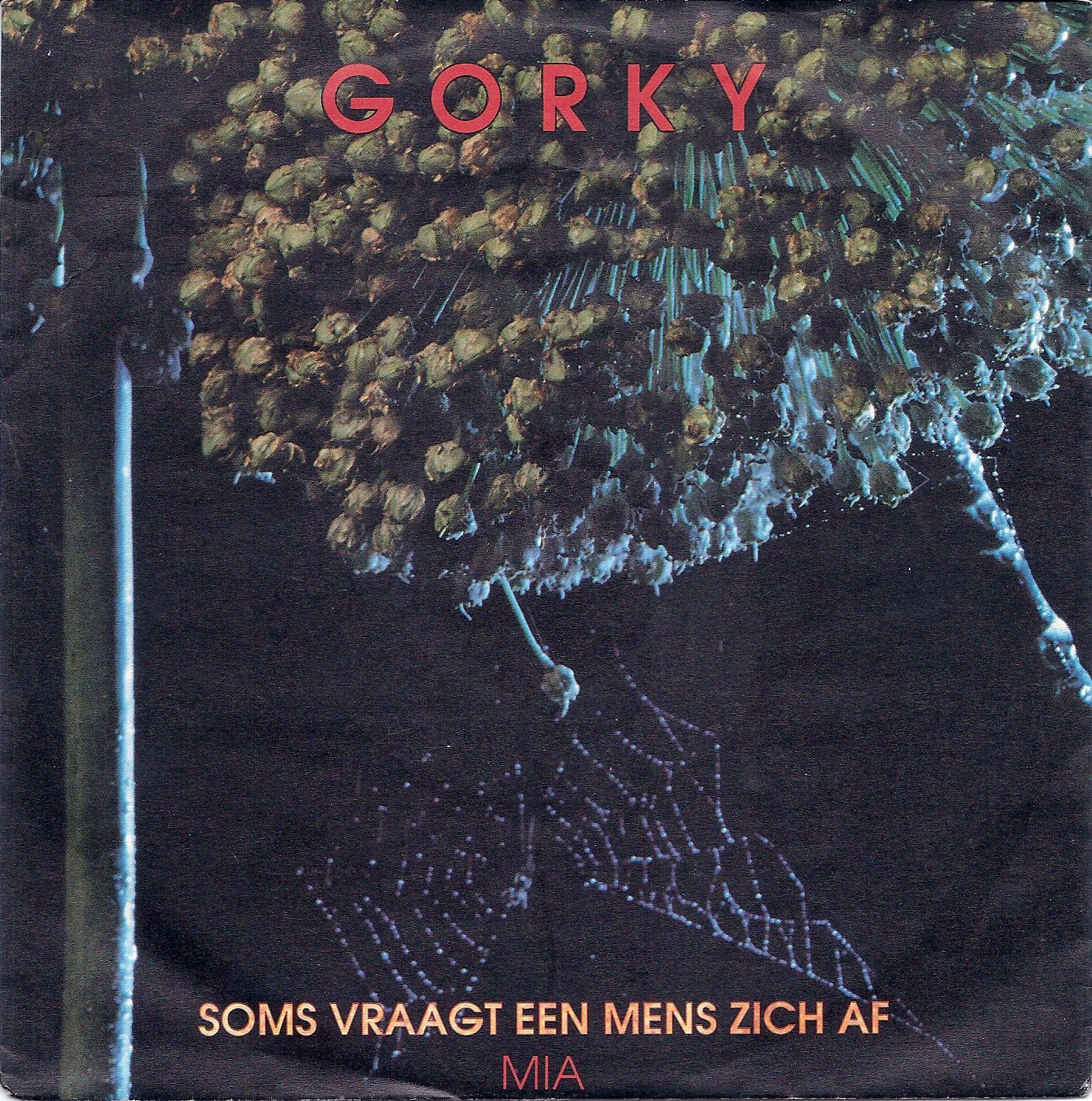 somsvraagtfront